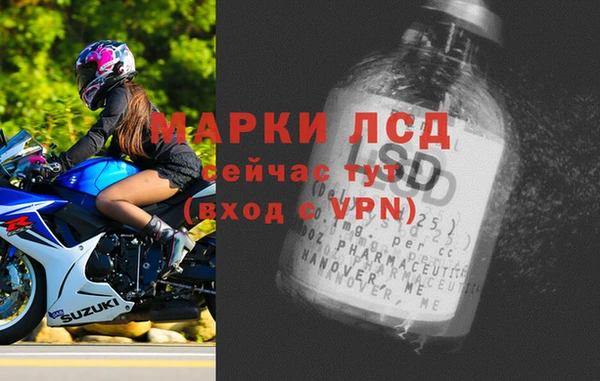 дживик Абаза