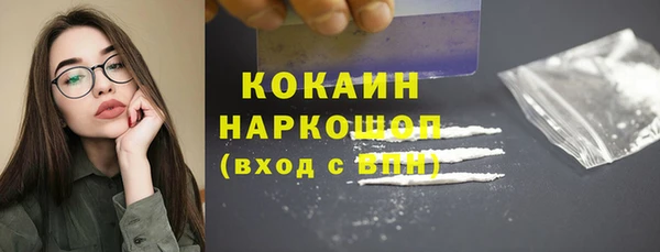 дживик Абаза